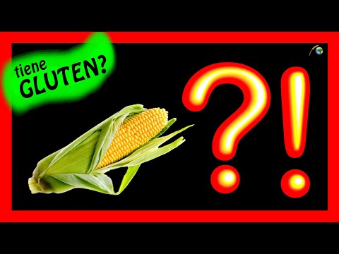 Video: ¿El maíz tiene gluten?