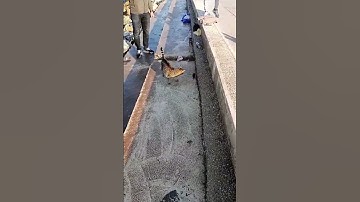 cat mouse game Part/2