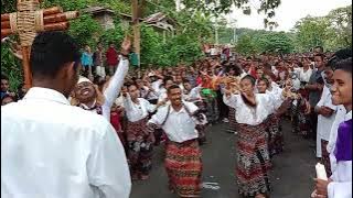 tarian adat sikka viral
