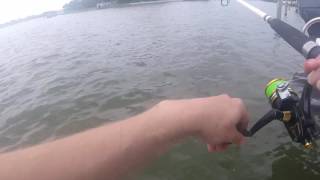 Indian Rocks Beach Docksurf Fishing Summer 2017