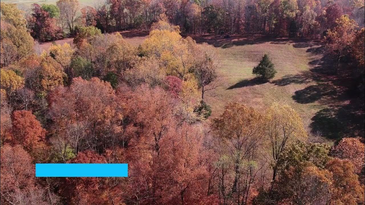 153 Acres Murphy Hollow Rd Vanleer TN YouTube