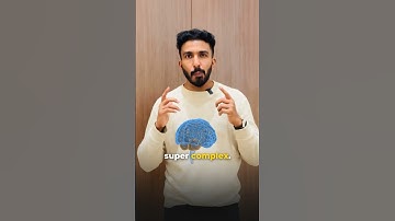 What if we could upload our brains to the computer?