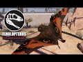 Jeholopterus Eats Insects - JWE 2 Feathered Species Pack (4K 60FPS)