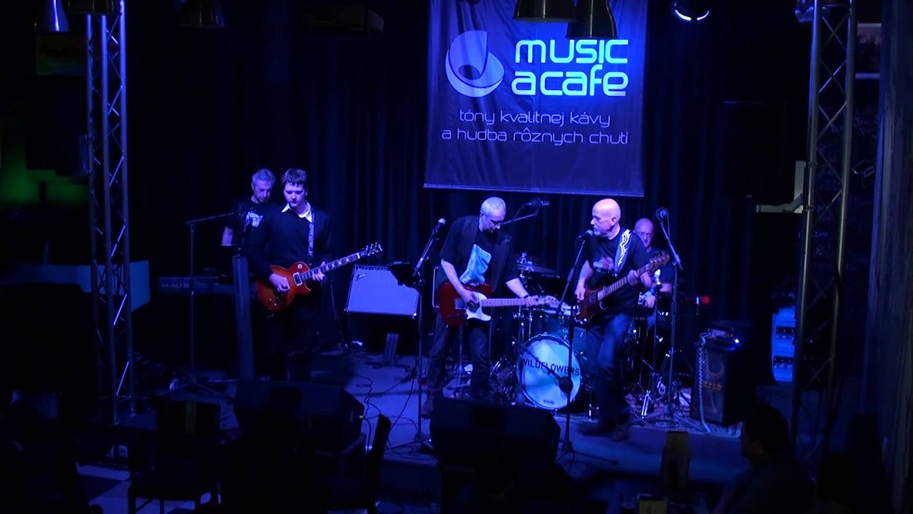 American Dream Plan B by WildFlowers (Tom Petty Tribute Band) YouTube