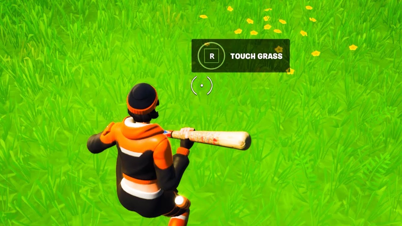 Touching grass for the first time 