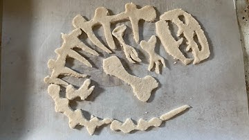 Salt Dough Recipe/Salt Ceramic - Dinosaur Fossil