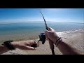 Pesce Serra dalla spiaggia con jig da 20gr - Bluefish in shore with 20gr jig