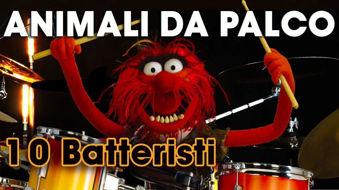 I top 10 batteristi ANIMALI DA PALCOSCENICO - Batteristi pazzi