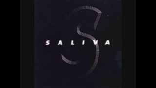 Saliva - 800