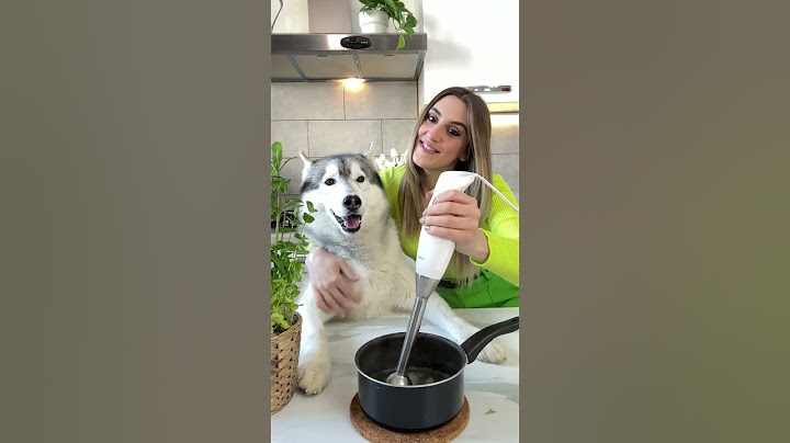 CREO le CARAMELLE GOMMOSE per CANI contro L'ALITO CATTIVO!🍬🐶🙊 #dog #cane #ricette #dogs #cani