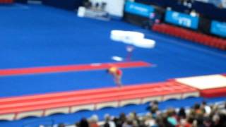 World Trampoline & Tumbling Championships 2011 Birmingham: 31