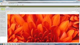 101 SharePoint Usability Tips - # 65 Use Optimized Graphics
