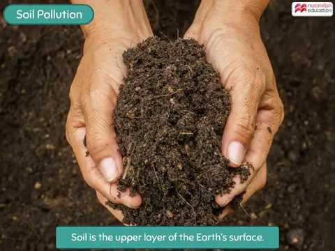 Video: Monitoring soil pollution. Types of soil pollution