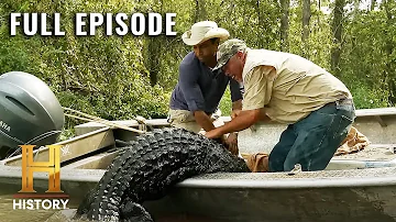 Swamp People: Gator Feeding Frenzy (S12, E5) | Full Episode