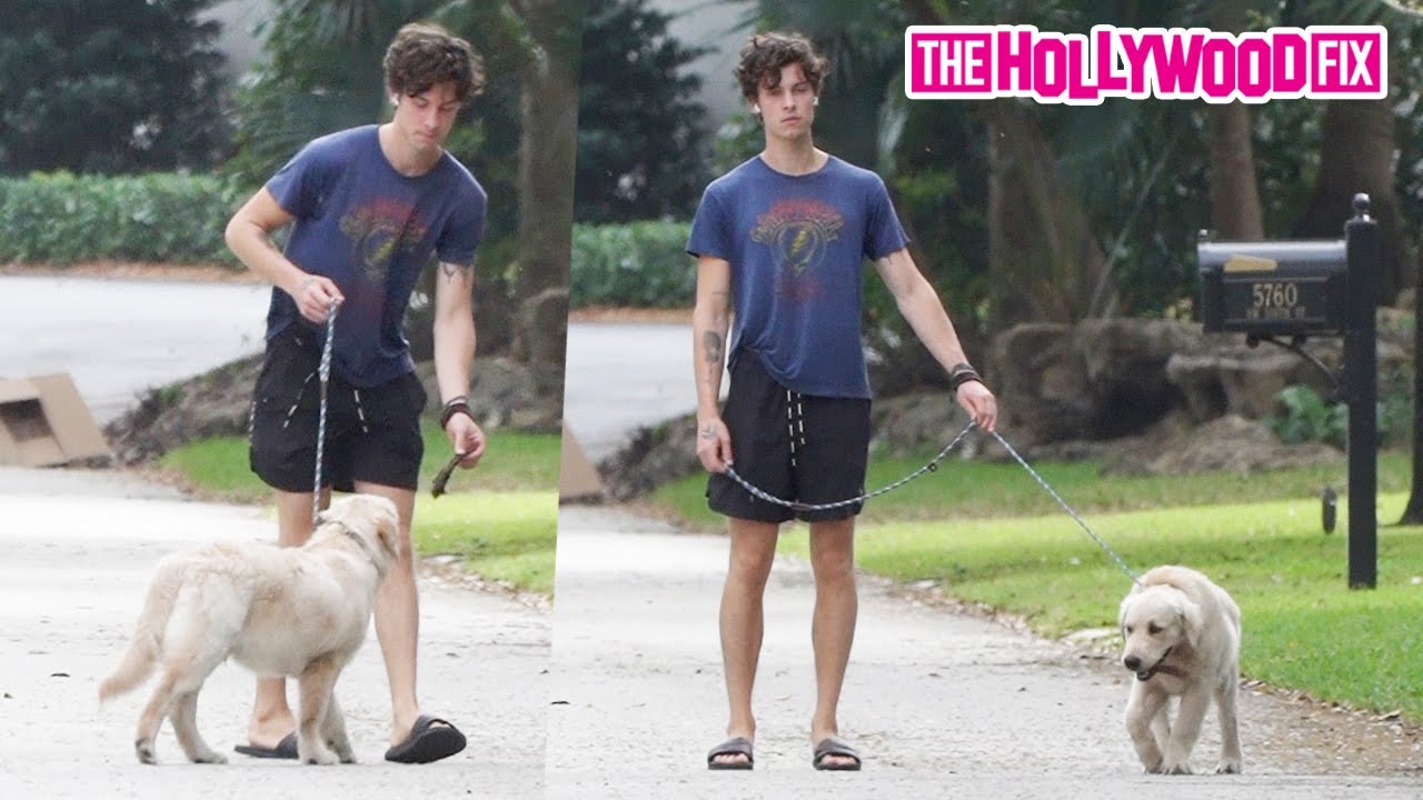 Shawn Mendes Takes His & Camila Cabello's New Puppy 'Tarzan' Out For A Walk & Some Training In Miami