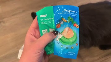 Potaroma Catnip Wall Toys   Our Cats Honest Reaction