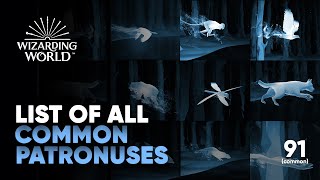 All Patronuses on Magical Mystery (Pottermore) || Common List || Hogwarts Legacy