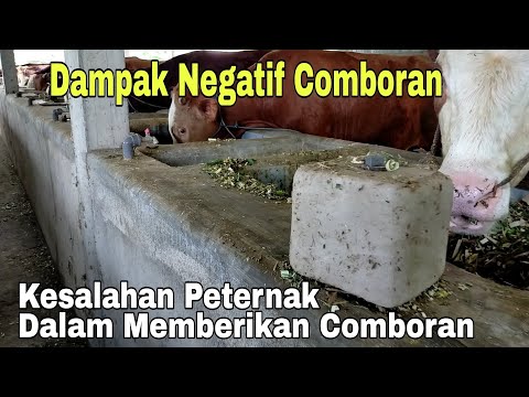 Video: Bagaimanakah terlalu banyak pertanian menyebabkan penggurunan?