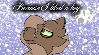  Because I Liked A Boy mashup  Short Oc Animation 