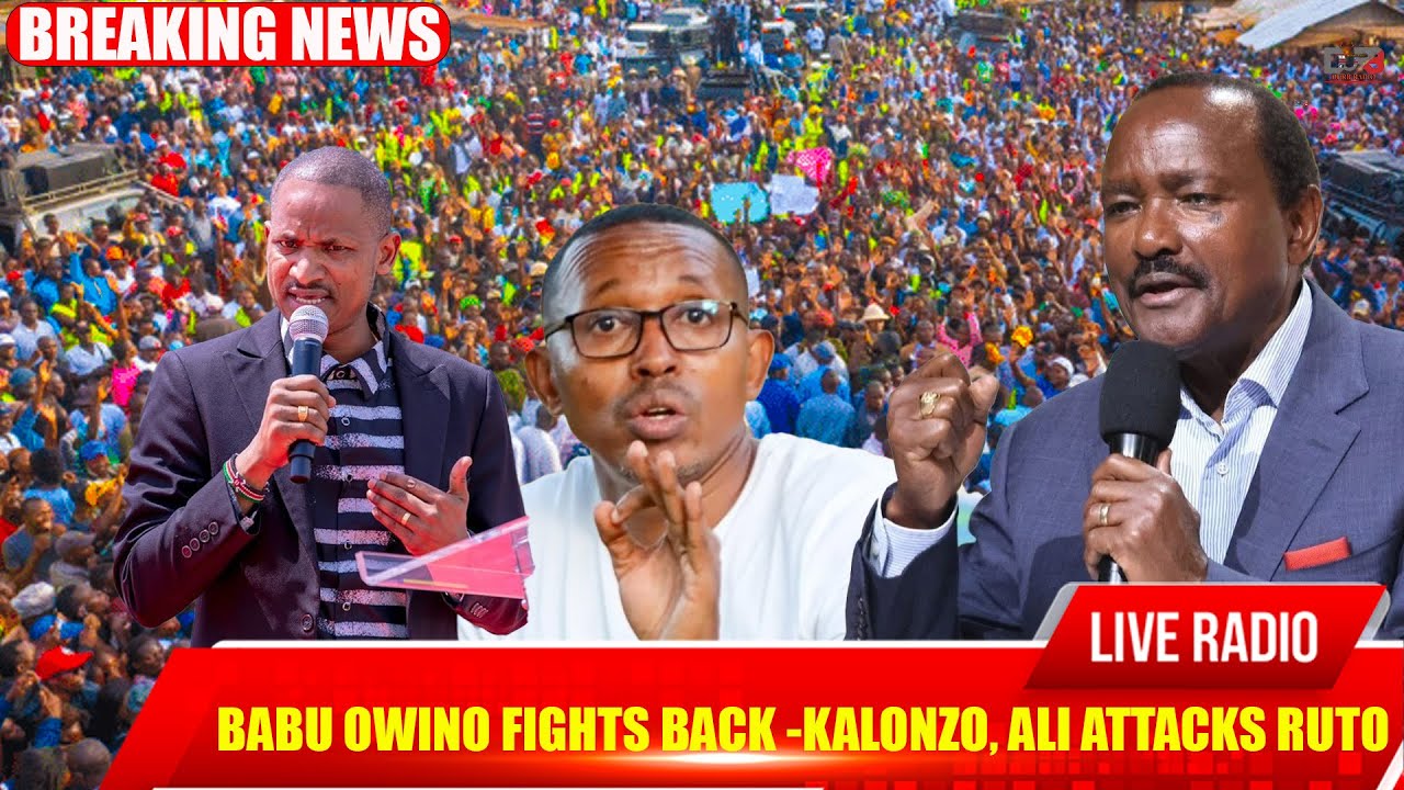 BABU OWINO FIGHTS BACK AS ALI AND KALONZO DESTROYS RUTO #seo #podcast #kenya