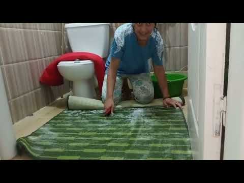 Natural Carpet Washing Routine Without Editing 