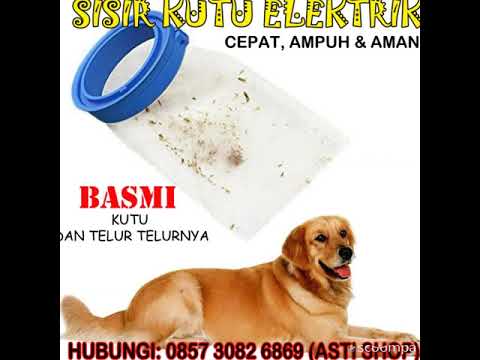 085730826869 Harga Sisir Kutu, Harga Sisir Kutu Ajaib