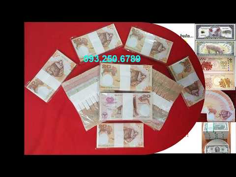 Tiền Papua New Guinea hình con heo dễ thương, tienlixi.vn, 0932506789
