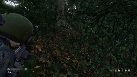 The most normal DayZ official players