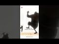 Kuma's POV