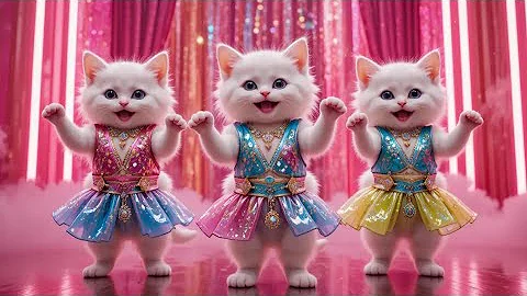 Video 11894261: cute cat dance, meow