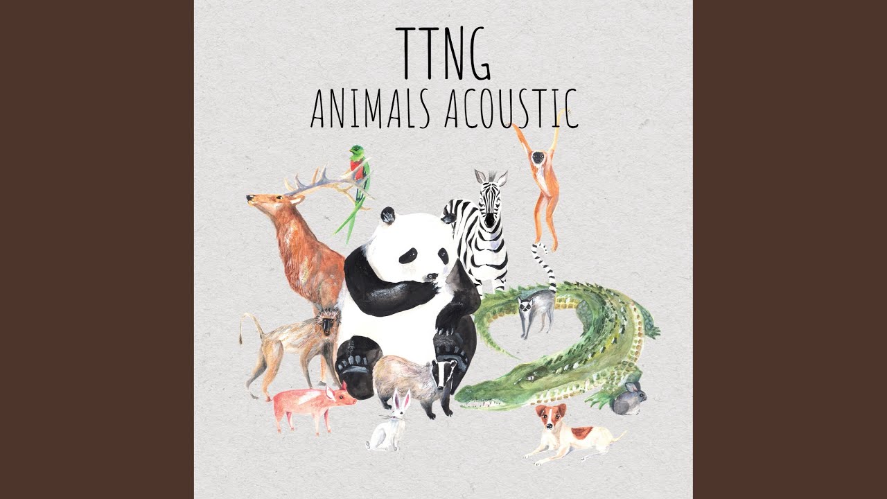 Ver Zebra (Acoustic) no YouTube Ver Zebra (Acoustic) no YouTube