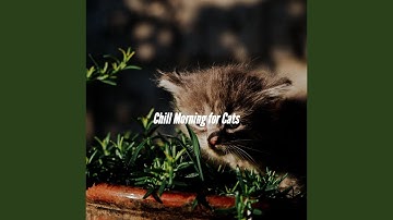 Pulsating Music for Breaking for Spring