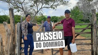 A FAZENDA DE DONA ROSA