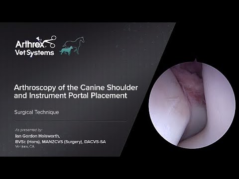 Arthroscopy of the Canine Shoulder and Instrument Portal Placement