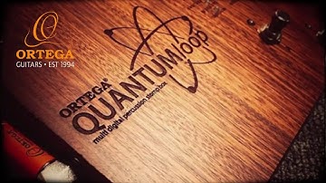 QUANTUMloop Guitar Looper - Looping Pedal w/ Built-in Percussion Stomp-Box Quick Tutorial