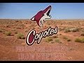 The Arizona Coyotes: Professional Hockey