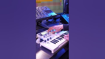 Tape loop cassette with Waldorf Blofeld