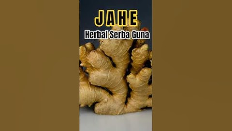Rahasia Jahe, Herbal Serba Guna! #youtubeshorts #youtubevideo #feedshorts #shorts #fyp