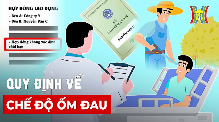 Đánh giá chế độ ốm đau