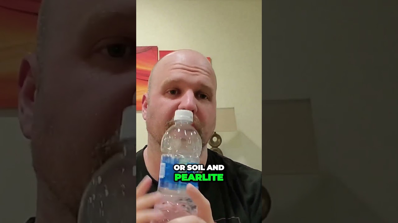 seedling/clones media based grows