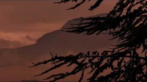 تلاوة شجية للقارئ حاتم المالكى || سورة فاطر