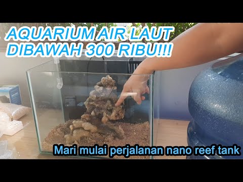 Video: Aquatics: Mengadakan Akuarium Air Segar untuk Murah!