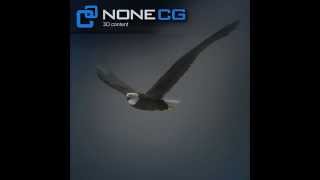 Fully Rigged and Animated Bald Eagle for 3ds Max, Cinema4D, FBX, Lightwave, Maya and XSI