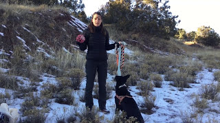 How To Teach Your Dog To Come When Called