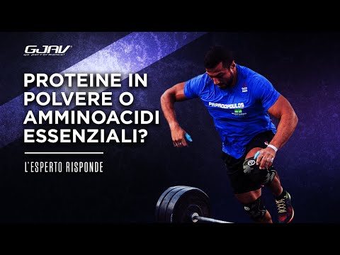 PROTEINE IN POLVERE