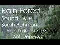 Rain Forest Sound With Surah Rahman | Help Relaxing | Sleep | Anti Depression |