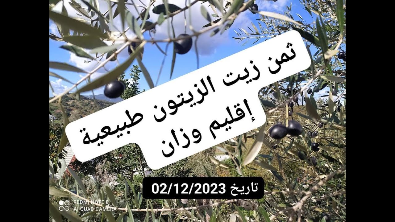 ثمن زيت الزيتون طبيعية باقليم وزان