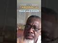 Holy Bible 1 Samuel 17 48 50 David Slings A Stone That Hits Goliath In The Forehead By D E Wilson Holy Bible 1 Samuel 17 48 50 David Slings A Stone That Hits Goliath In The Forehead By D E Wilson