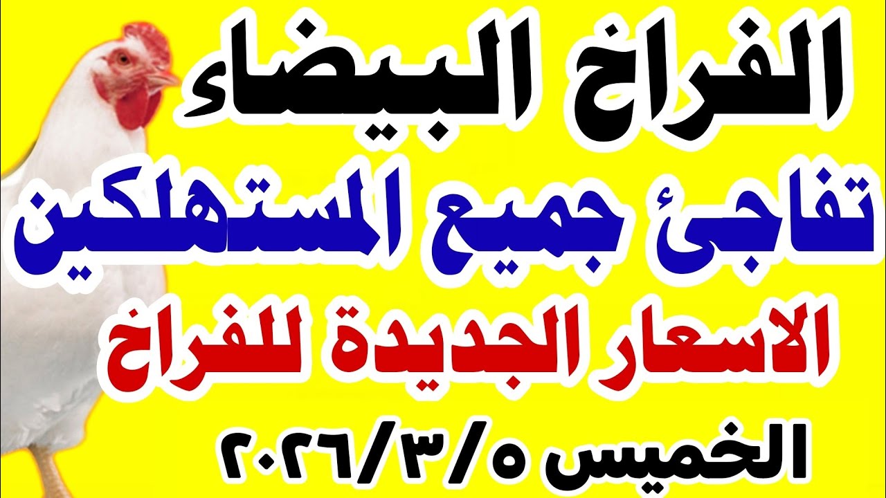 اسعار الفراخ البيضاء اليوم/ سعر الفراخ البيضاء اليوم الخميس 2026/3/5 في مصر #اسعار_الفراخ_اليوم