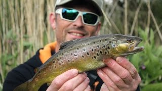 Urban Lure Fishing -  Wild Trout on Spinners and Soft Plastics!! screenshot 5